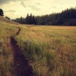 hint okyanusu dosya gonderimi