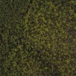 hollanda antilleri kargo