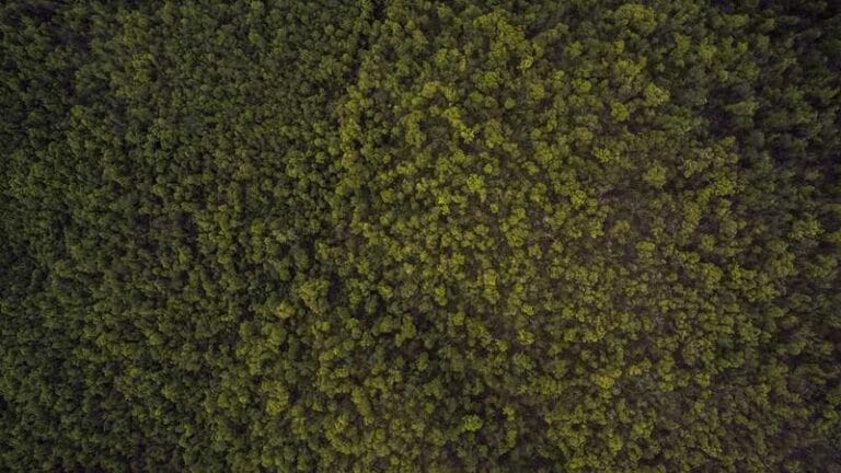 hollanda antilleri kargo