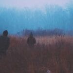 hollanda yurtdisi kargo