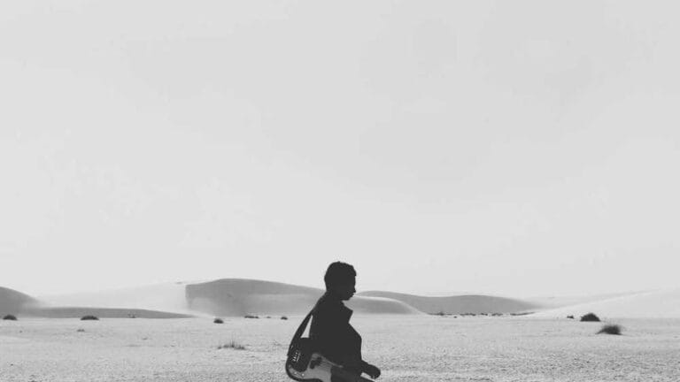 irlanda pasaport gonderimi