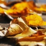 kayman adalari fedex kargo