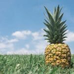 kongo demokratik cumhuriyetinde ups kargo guvenilir teslimatin adresi