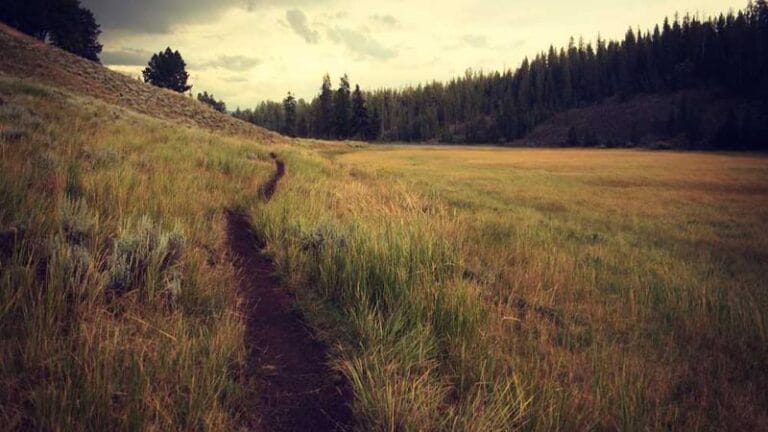 kongo denizyolu tasimaciligi