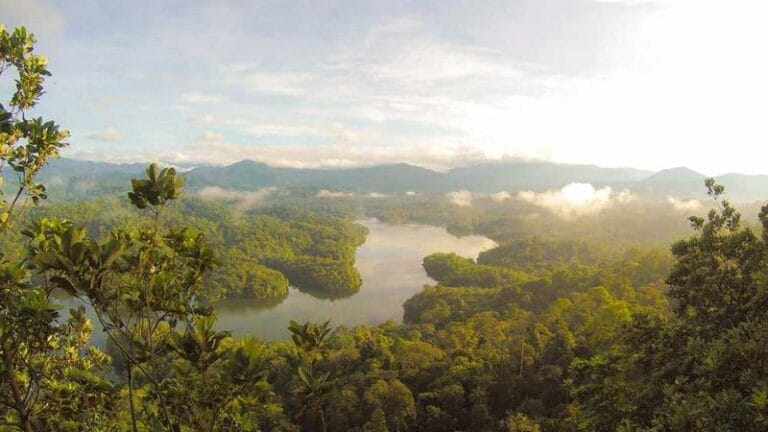 kongo kargo hesaplama