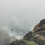 letonyaya konteyner tasimaciligi kolay ve guvenilir cozumler