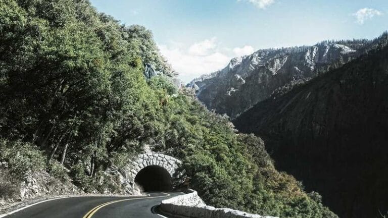 mali evrak gonderimi