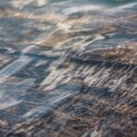 mali gemi tasimaciligi