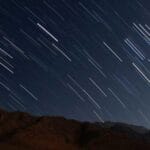 martinik dhl kargo 1