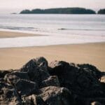 mcdonald adalarina yurtdisi kargo fiyatlar ve secenekler