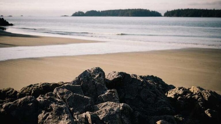 mcdonald adalarina yurtdisi kargo fiyatlar ve secenekler