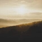 meksika express kargo