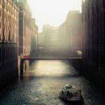 misir dosya gonderimi