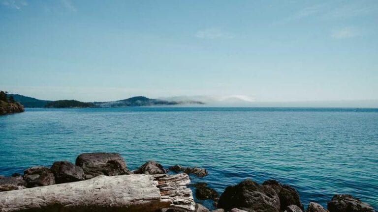 montserrat express kargo