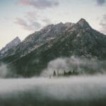 ozbekistan konteyner tasimaciligi