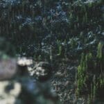 palau acil kargo hizli ve guvenilir teslimat