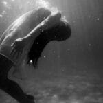 paraguay evrak gonderimi