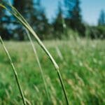 tacikistan kargo fiyatlari