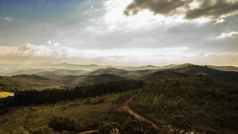 tunus numune gonderimi