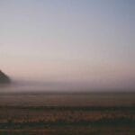 vatikan numune gonderimi