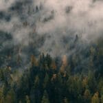 vietnam kargo fiyatlari