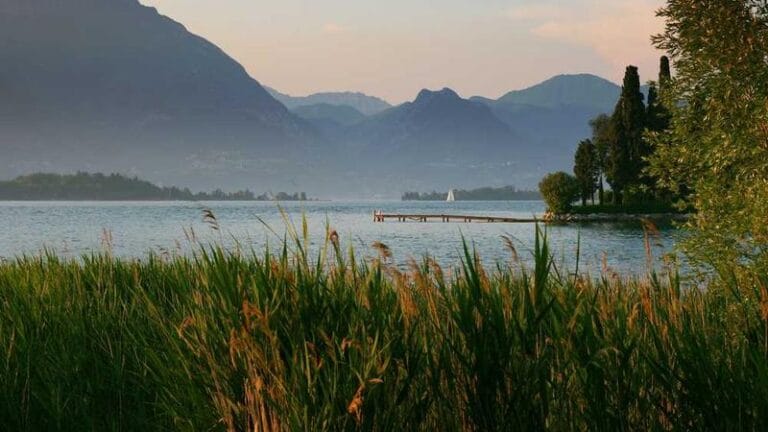 yurtdisi kargo risklerin orkestrasyonu