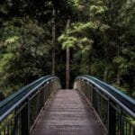 a z ucak kargo rehberi kolay ve hizli gonderim