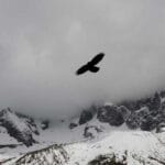 almanya ucak kargo guvenilir hizli gonderiler