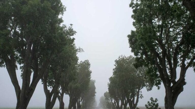 almanya ucak kargo kapidan teslim hizmeti hizli guvenilir