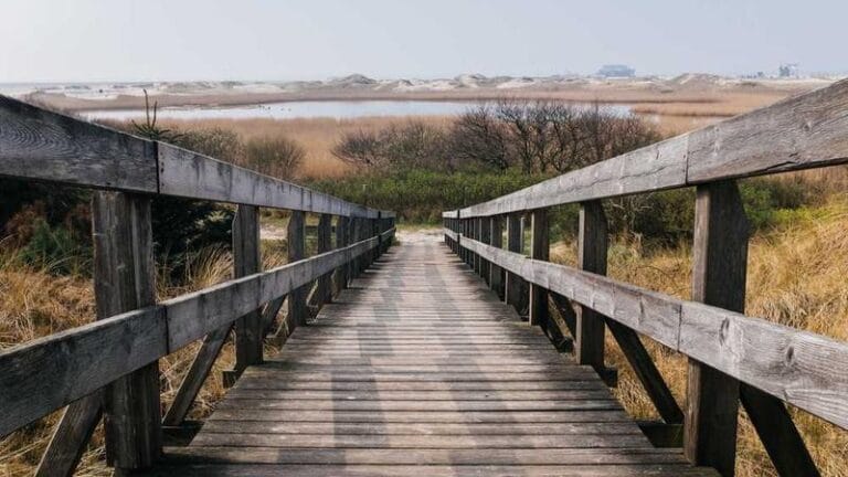 almanyaya hizli kargo guvenilir gonderi cozumleri