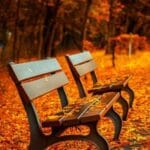 almanyaya hizli ucak kargo guvenilir gonderi