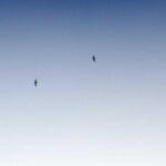 amerikaya ucak kargo parca gonderiminizde kolaylik