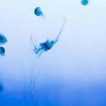 elektronik esya hava kargo