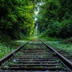 en hizli kargo aninda karsilastirma 1