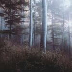 en hizli kargo guvenilir mi marka adi