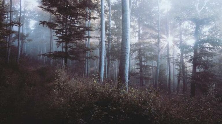 en hizli kargo guvenilir mi marka adi