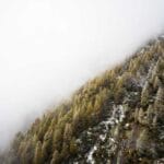 en hizli kargo kampanyalari simdi kesfedin