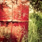 en hizli kargo lider firmalar karsilastirmasi