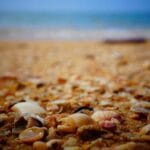 en hizli kargo subesi nerede marka adi