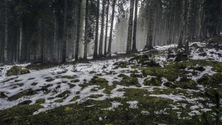 en hizli kargo uygun fiyatli gonderi ucreti 1