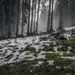 en hizli kargo uygun fiyatli gonderi ucreti