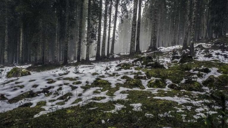 en hizli kargo uygun fiyatli gonderi ucreti