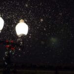 hava kargo gumruk islemleri kolay ve hizli rehber 2