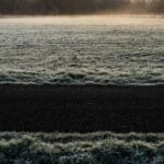 hava kargo hizmetleri