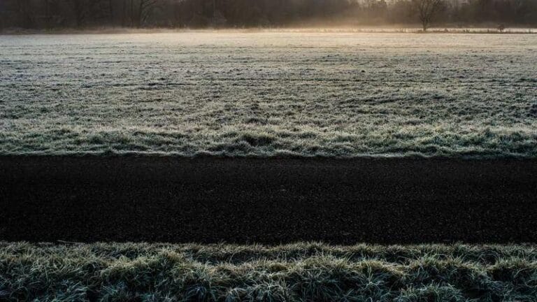 hava kargo hizmetleri 2