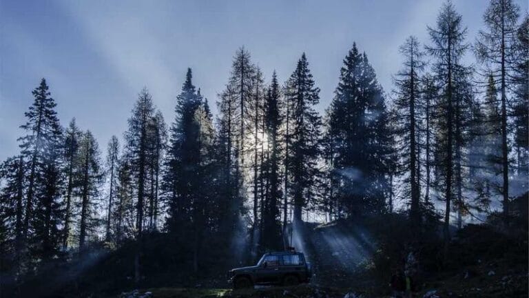 hava kargo ile evrak gonderim hizli guvenli 1