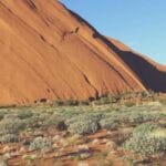 hava kargo takip sorgulama aninda bilgi