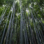 hava kargo takip sorgulama hizli ve kolay