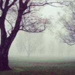 hava kargo ucaklari tasima kapasitesi rehberi