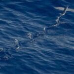 hava kargoyla pil gonderimi kurallar ve rehber